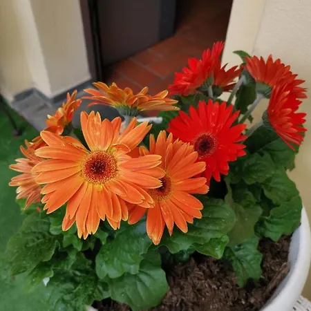 La Di Giada Pensionat