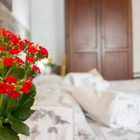 La Di Giada E Giorgia Affittacamere Pisa