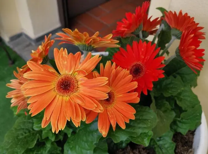 La Di Giada ゲストハウス